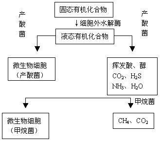 废水生物处理法