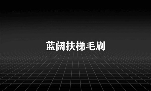 蓝阔扶梯毛刷