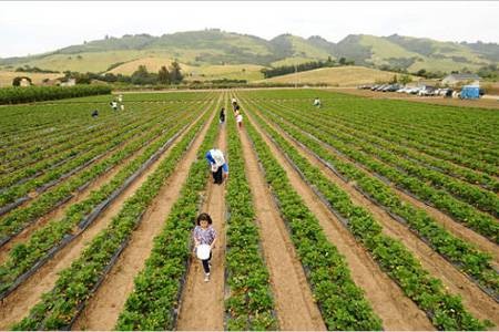 宜昌市家庭农场认定标准和登记注册办法(试行)