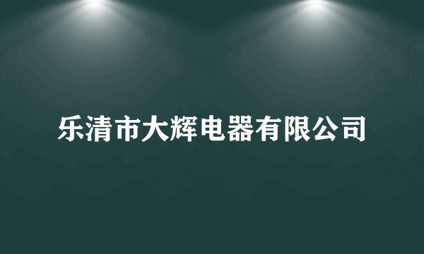 乐清市大辉电器有限公司