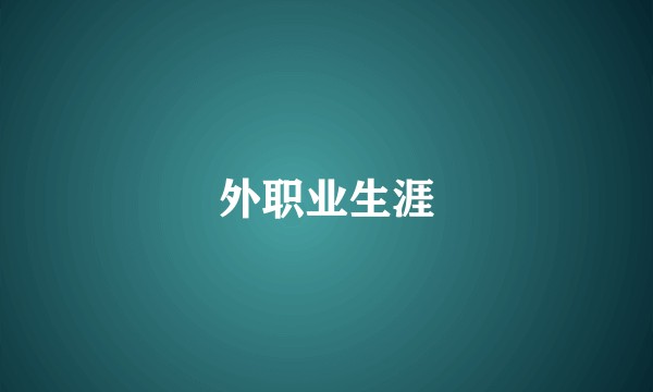 外职业生涯