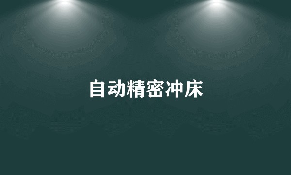 自动精密冲床