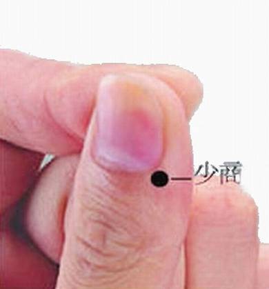 少商(人体腧穴)