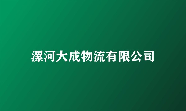 漯河大成物流有限公司