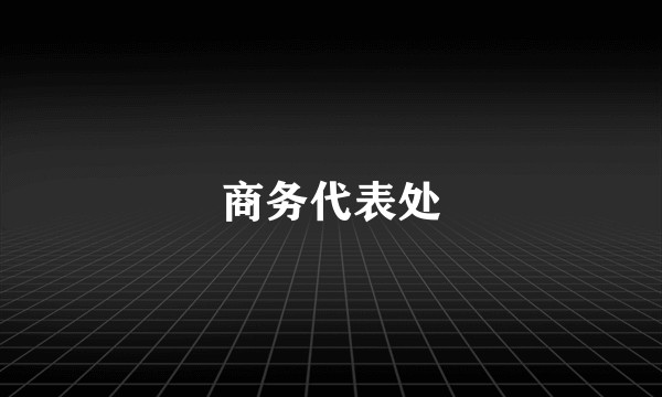 商务代表处