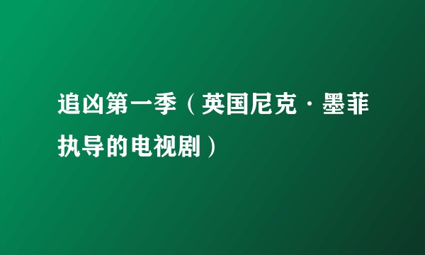 追凶第一季（英国尼克·墨菲执导的电视剧）