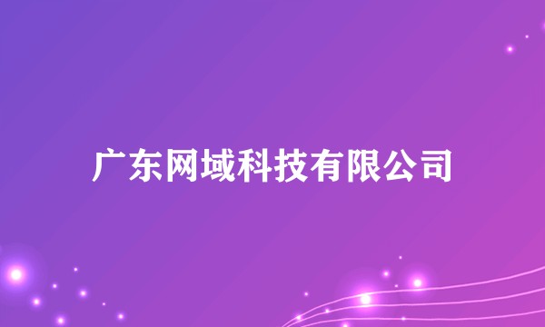 广东网域科技有限公司