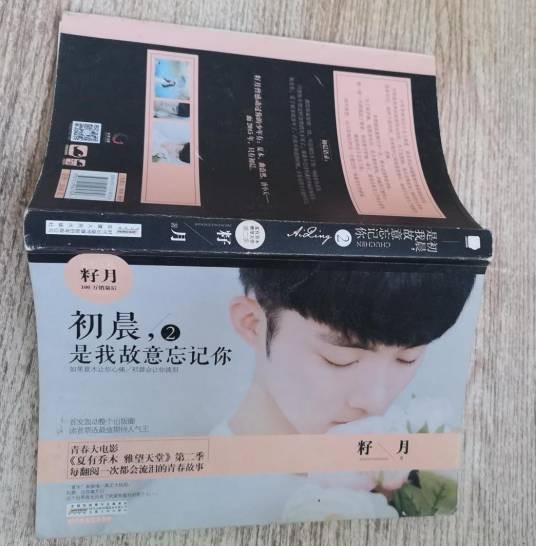 初晨，是我故意忘记你·2