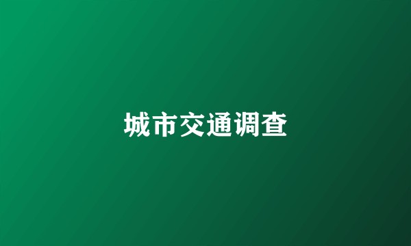 城市交通调查