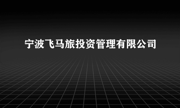 宁波飞马旅投资管理有限公司