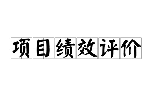 项目绩效评价