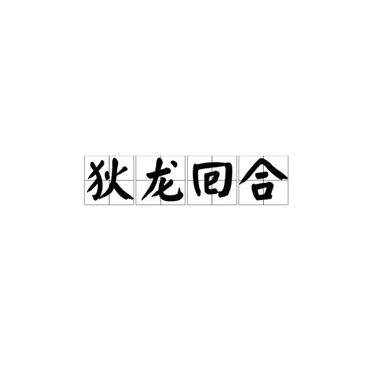 狄龙回合