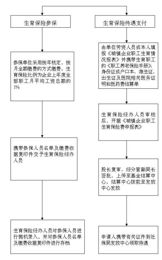 生育保险报销流程