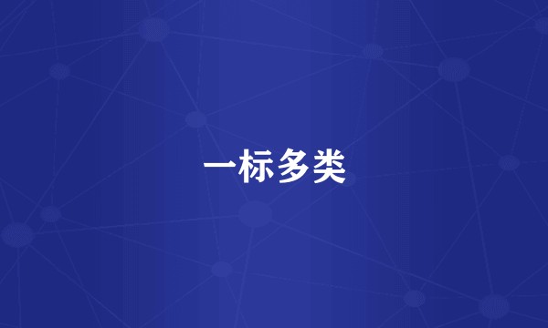 一标多类