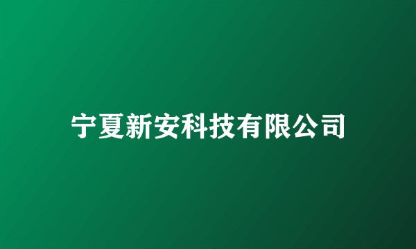 宁夏新安科技有限公司