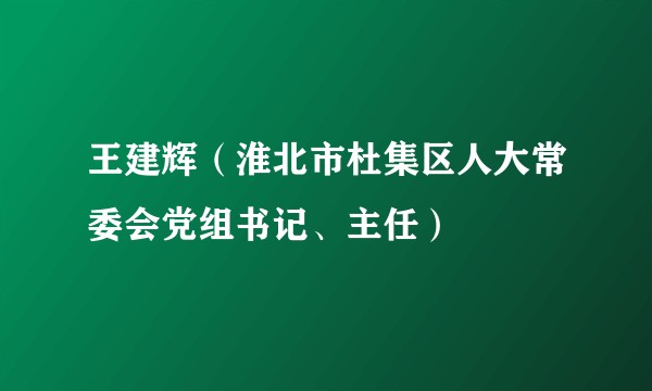 王建辉（淮北市杜集区人大常委会党组书记、主任）