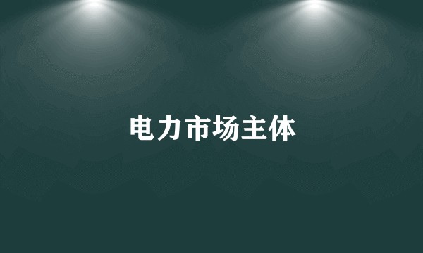 电力市场主体