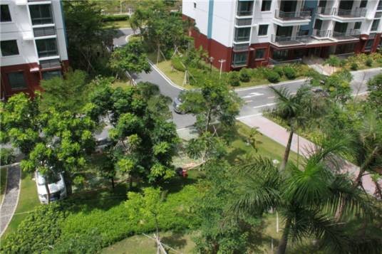 凤凰山社区(湖南省沅陵县沅陵镇凤凰山社区)