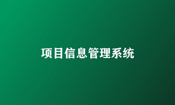 项目信息管理系统