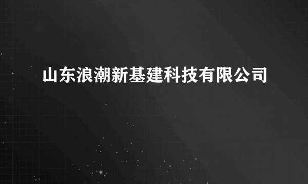 山东浪潮新基建科技有限公司