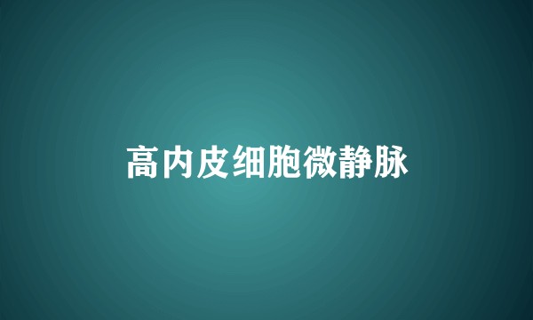 高内皮细胞微静脉