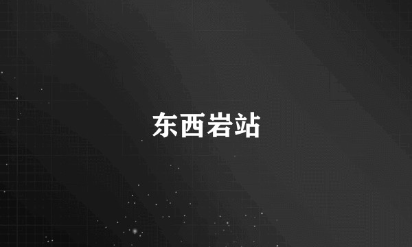 东西岩站