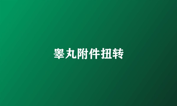 睾丸附件扭转