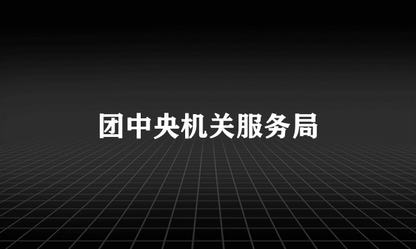 团中央机关服务局
