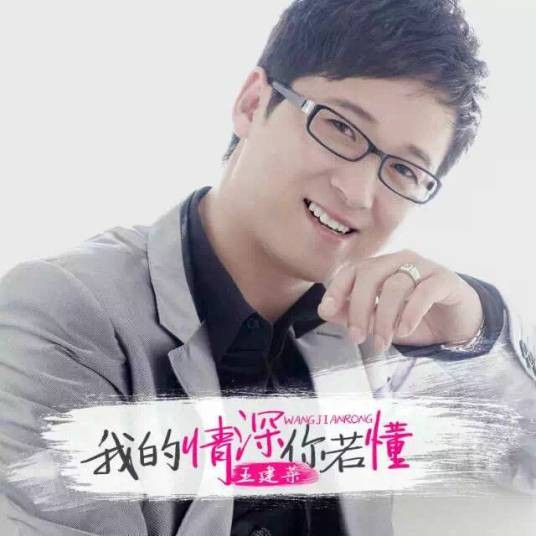 我的情深你若懂（王建荣演唱的歌曲）