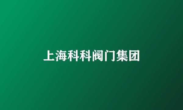 上海科科阀门集团