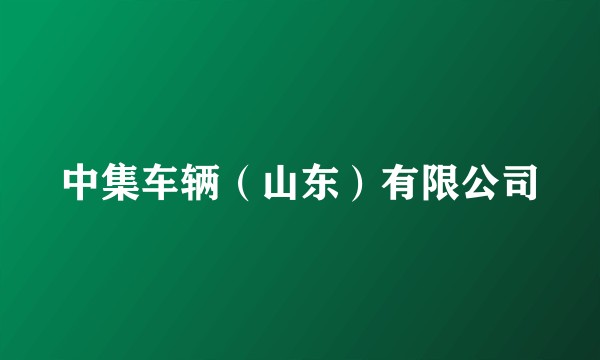 中集车辆（山东）有限公司