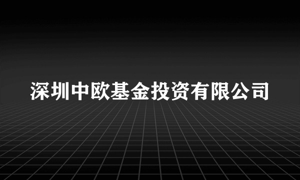 深圳中欧基金投资有限公司