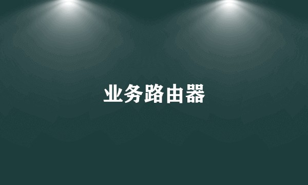 业务路由器