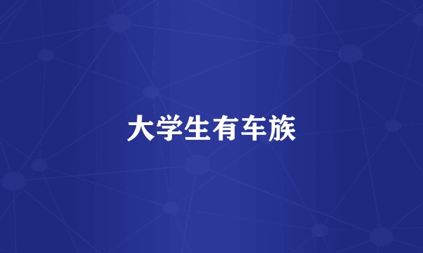大学生有车族