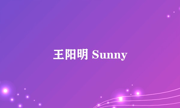 王阳明 Sunny