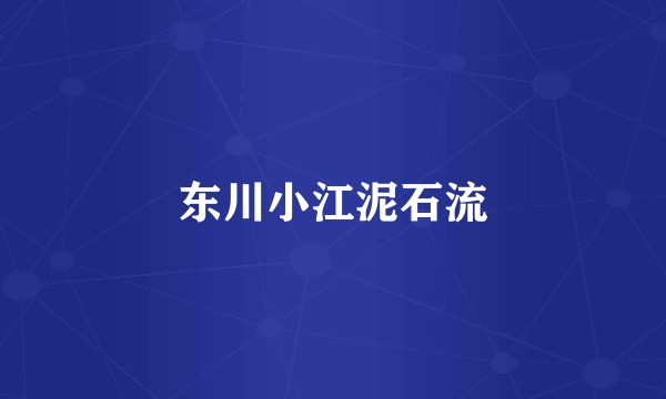 东川小江泥石流