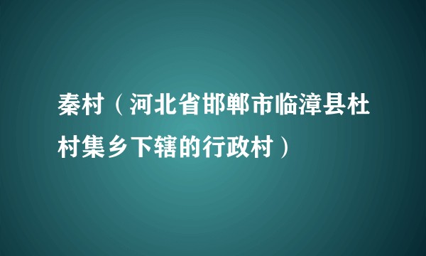秦村（河北省邯郸市临漳县杜村集乡下辖的行政村）