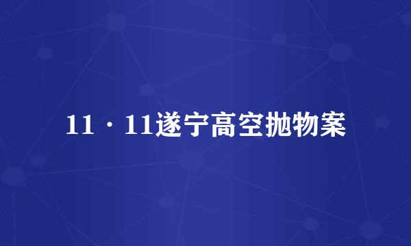 11·11遂宁高空抛物案