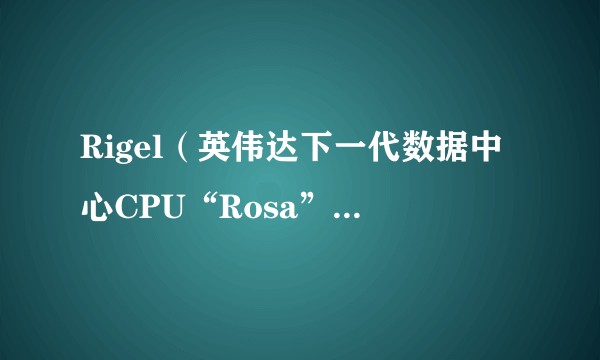 Rigel（英伟达下一代数据中心CPU“Rosa”采用的内核设计）