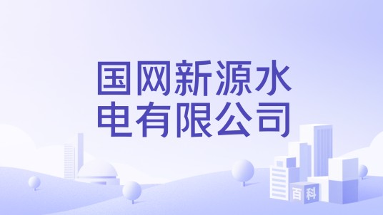国网新源集团有限公司