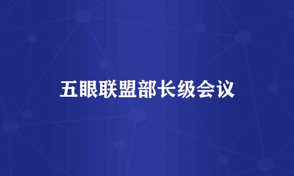 五眼联盟部长级会议