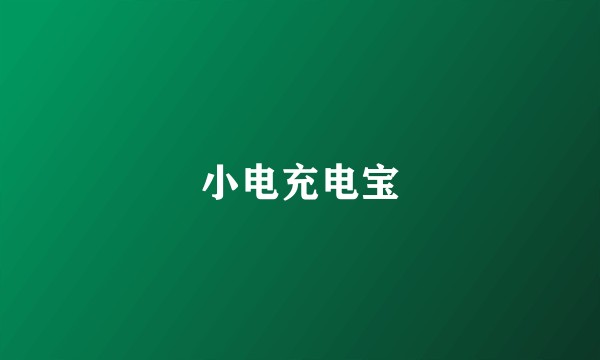 小电充电宝