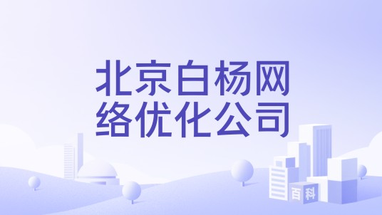 北京白杨网络优化公司