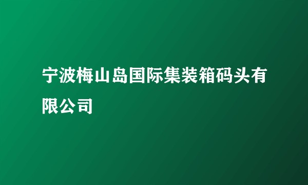 宁波梅山岛国际集装箱码头有限公司
