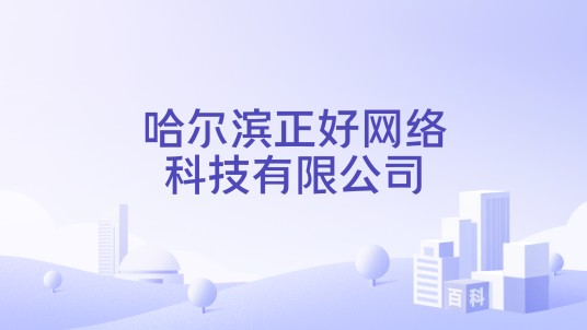 哈尔滨正好网络科技有限公司