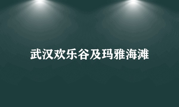 武汉欢乐谷及玛雅海滩