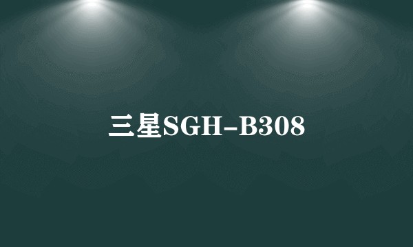 三星SGH-B308