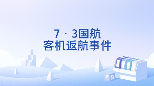7·3国航客机返航事件