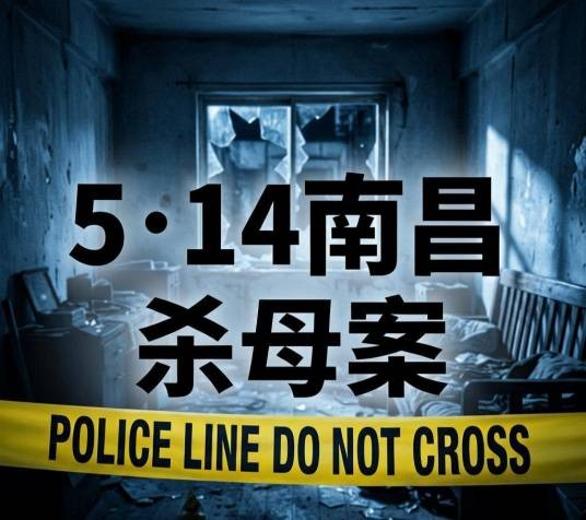 5·14南昌杀母案