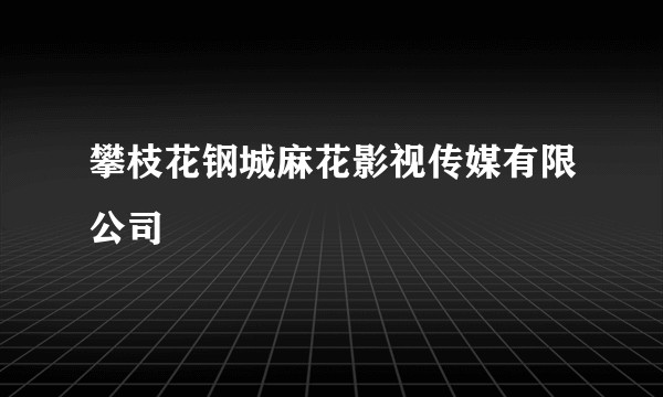 攀枝花钢城麻花影视传媒有限公司